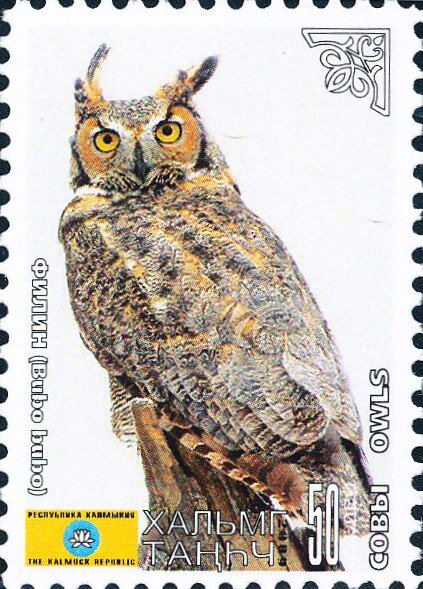 Owls