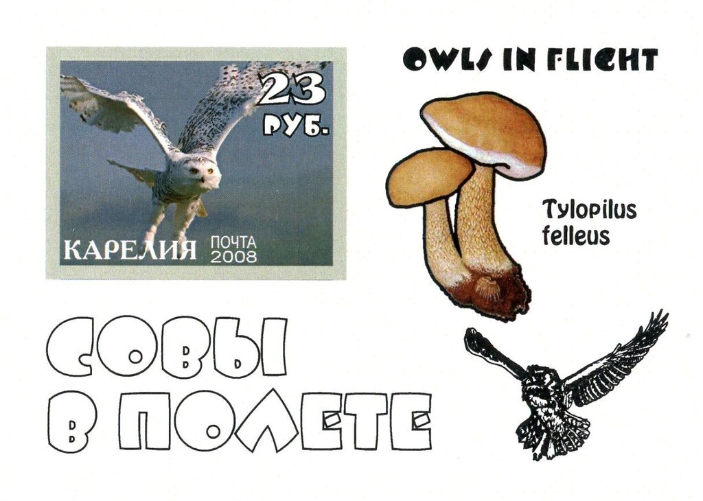 Owls