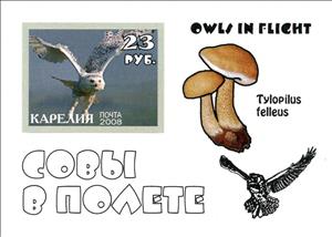Souvenir Sheet, Owls, Cinderellas,  , Animals (Fauna), Birds, Mushrooms, Owls