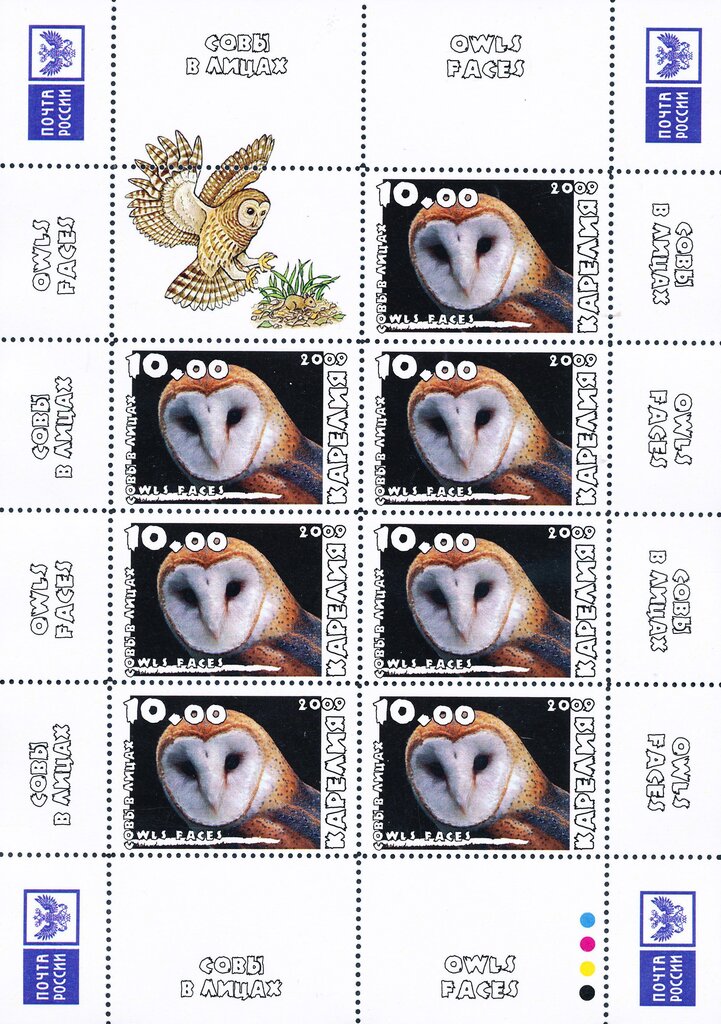 Owls