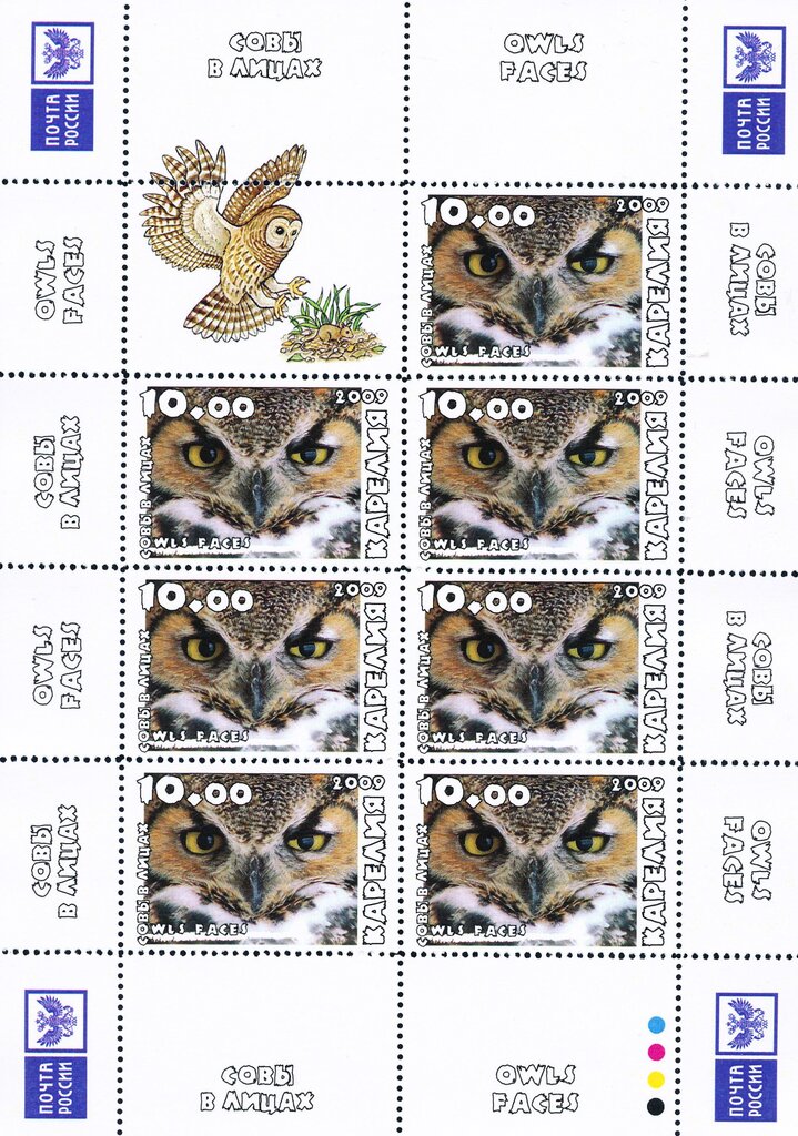 Owls
