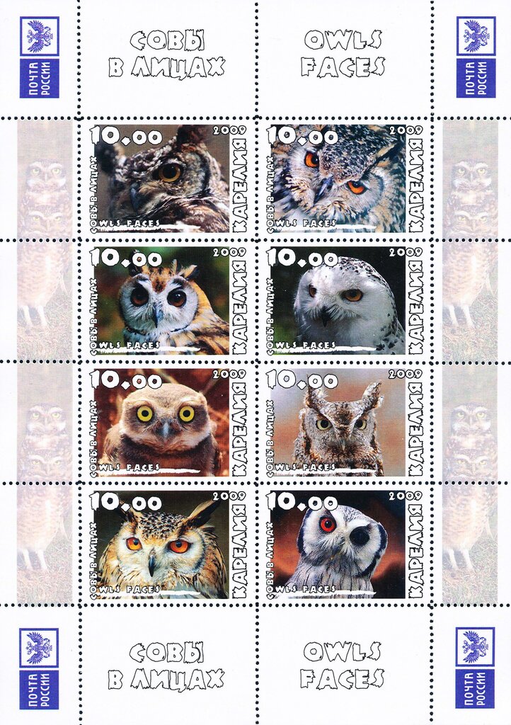 Owls