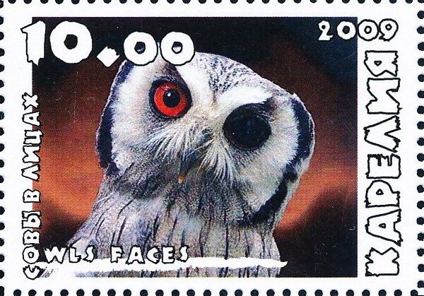 Owls