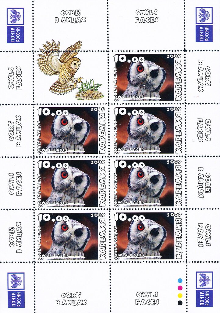 Owls