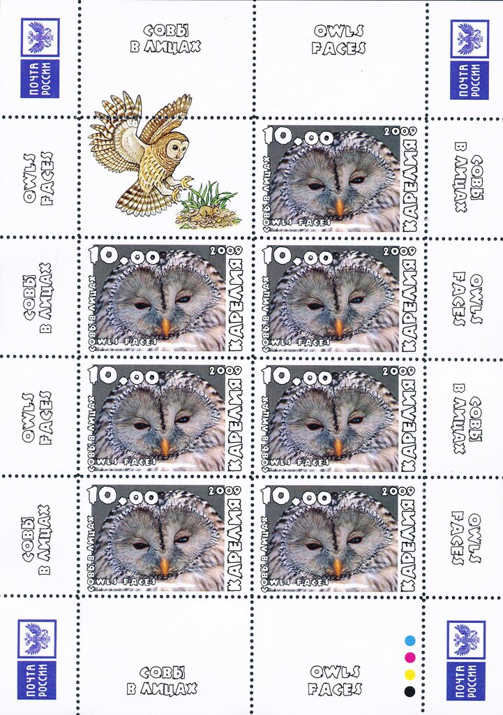Owls