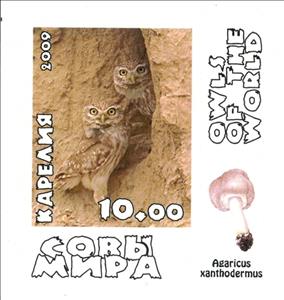 Stamp, Owls, Cinderellas,  , Animals (Fauna), Birds, Owls