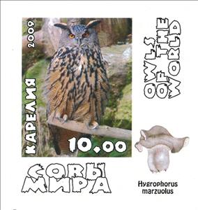 Stamp, Owls, Cinderellas,  , Animals (Fauna), Birds, Birds of Prey, Owls