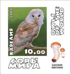 Stamp, Owls, Cinderellas,  , Animals (Fauna), Birds, Birds of Prey, Owls