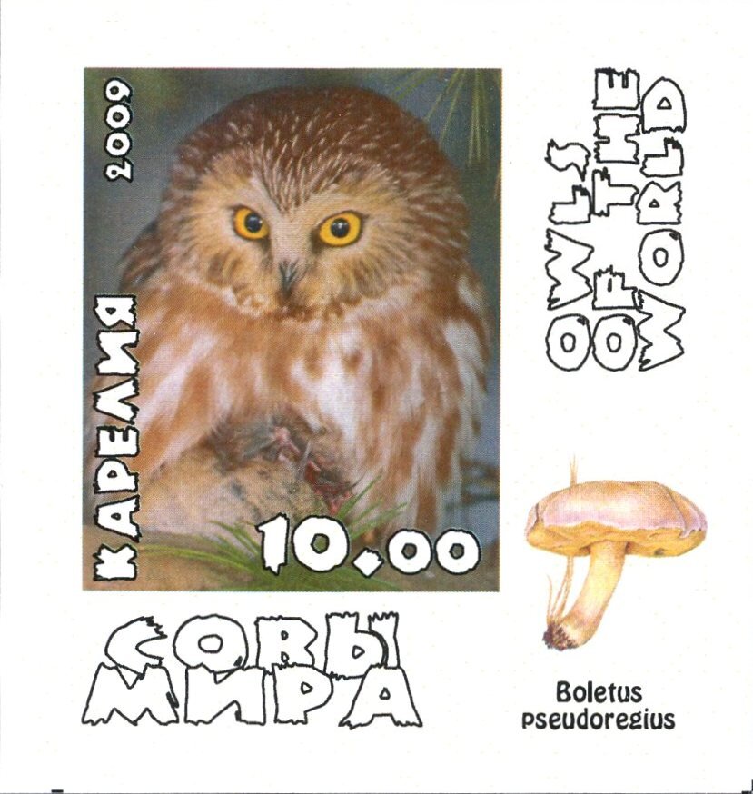 Owls
