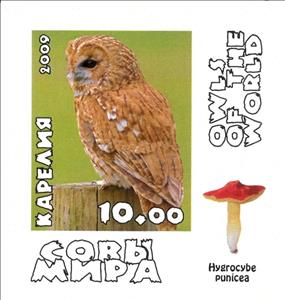 Stamp, Owls, Cinderellas,  , Animals (Fauna), Birds, Birds of Prey, Owls