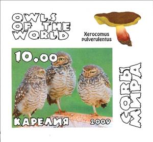 Stamp, Owls, Cinderellas,  , Animals (Fauna), Birds, Birds of Prey, Owls