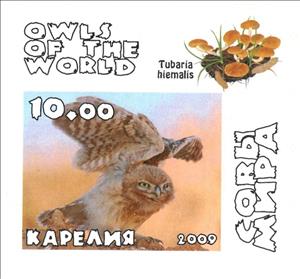 Stamp, Owls, Cinderellas,  , Animals (Fauna), Birds, Birds of Prey, Owls