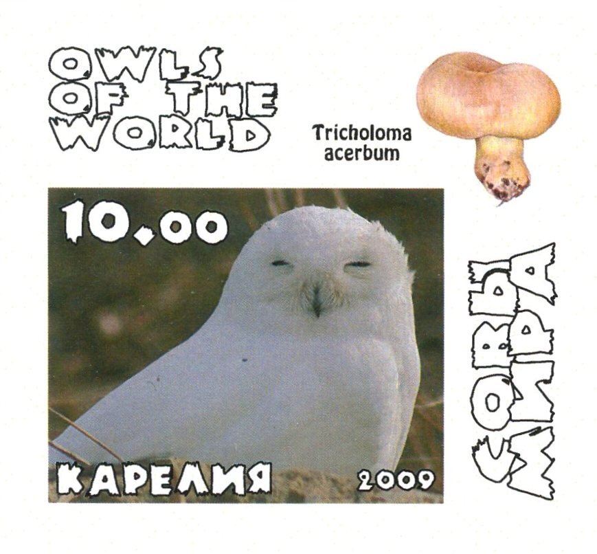 Owls