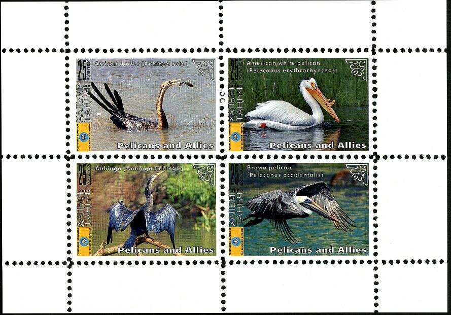 Pelicans