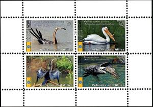 Mini Sheet, Pelicans, Cinderellas,  , Animals (Fauna), Birds, Pelicans