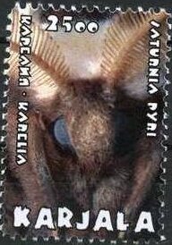 Stamp, Saturnia pyri, Cinderellas,  , Animals (Fauna), Insects