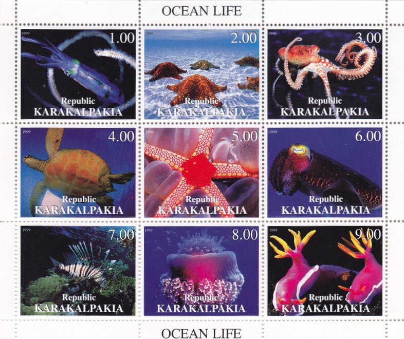 Sea Life