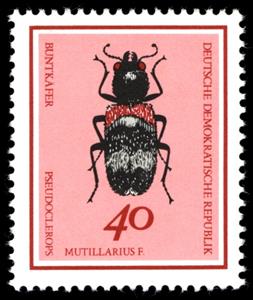 Stamp, Beetle (Pseudoclerops mutillarius), Germany, Democratic Republic,  , Insects, Beetles, Animals (Fauna)