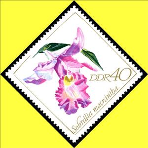 Stamp, Sobralia macrantha, Germany, Democratic Republic,  , Orchids