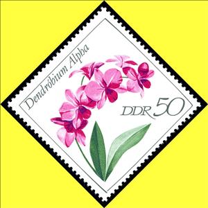 Stamp, Dendrobium alpha, Germany, Democratic Republic,  , Orchids