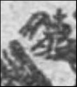 Newspaper revenue stamp
