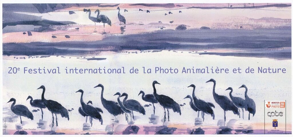 20th International Festival Animal and Nature Photos