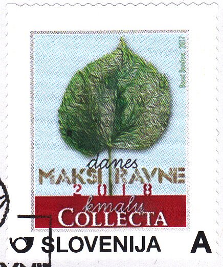 Maksi Ravne 2018 - Collecta