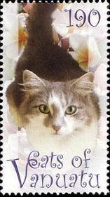 Gray-white Cat (Felis silvestris catus)