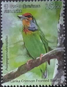 Stamp, Sri Lanka Crimson-Fronted Barbet (Psilopogon rubricapillus), Sri Lanka,  , Animals (Fauna), Birds
