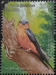 Stamp, Sri Lanka Swallow (Cecropis hyperythra), Sri Lanka,  , Animals (Fauna), Birds