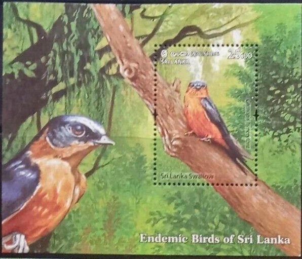 Sri Lanka Swallow (Cecropis hyperythra)