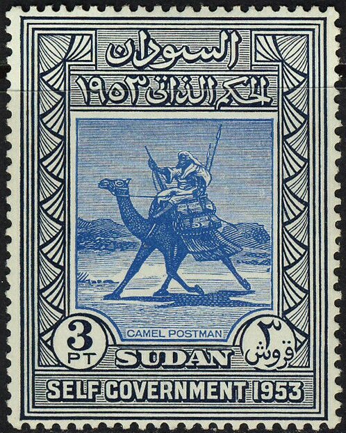 Postman with Dromedary (Camelus dromedarius)