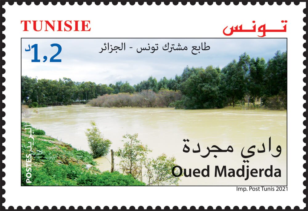 The Medjerda River