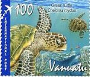Green Sea Turtle (Chelonia mydas)