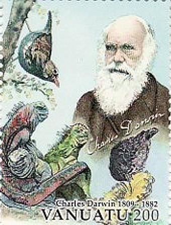 Darwin, Darwin's Finches (Geospiza sp.), Marine Iguanas (Amb