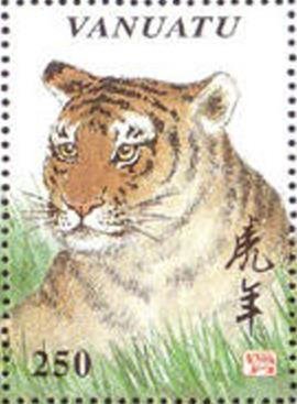 Tiger (Phantera tigris)