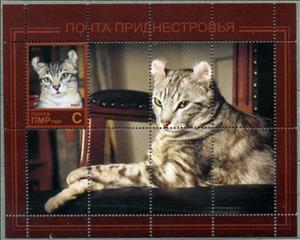 Souvenir Sheet, American curl, Cinderellas,  , Animals (Fauna), Cats, Mammals