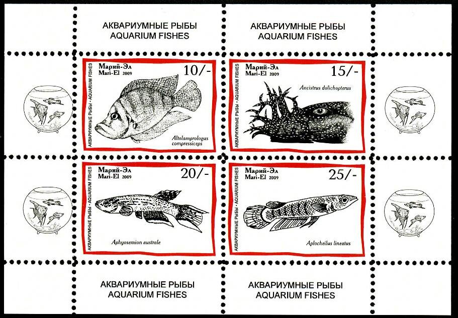 Aquarium Fishes