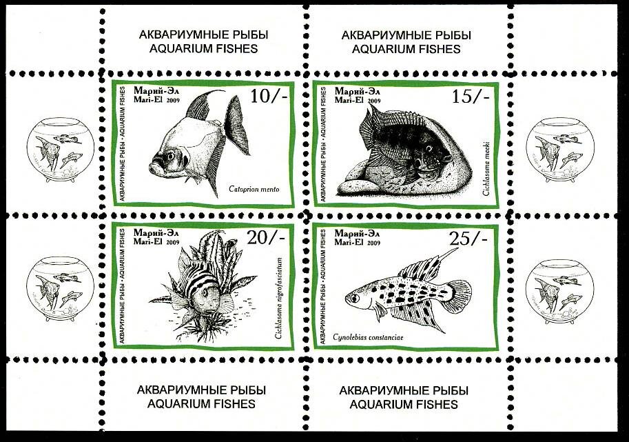 Aquarium Fishes