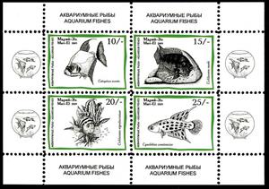 Mini Sheet, Aquarium Fishes, Cinderellas,  , Animals (Fauna), Fishes