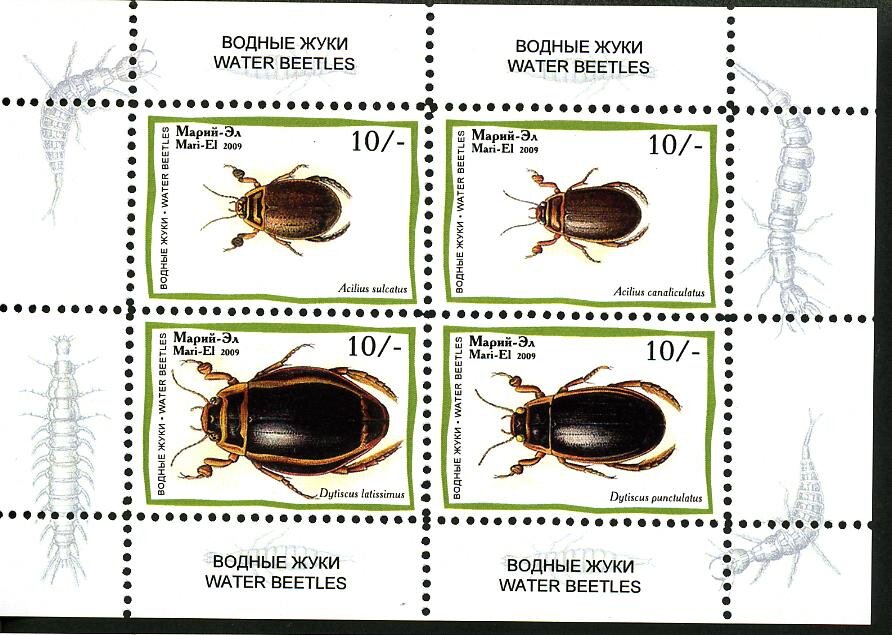 Beetles