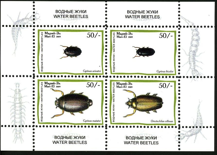Beetles