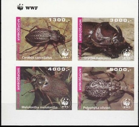 Beetles