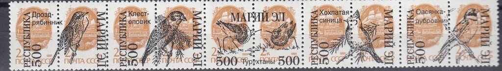 Birds