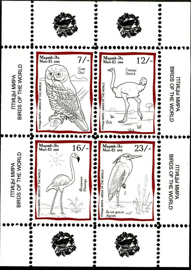 Birds