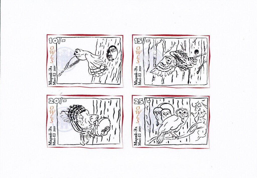 Birds