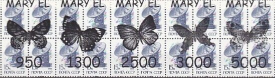 Butterflies