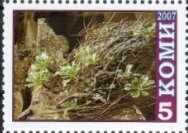 Stamp, Cacti, Cinderellas,  , Cacti, Flowers, Plants (Flora)