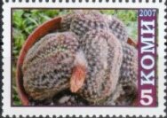 Stamp, Cacti, Cinderellas,  , Cacti, Flowers, Plants (Flora)
