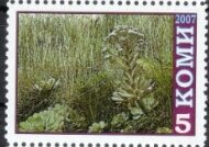 Stamp, Cacti, Cinderellas,  , Cacti, Flowers, Plants (Flora)
